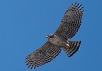 1_ER7_3095-topaz-2-1200