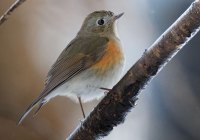 ER7_0884-topaz-2-1200
