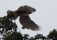 ER7_0996-topaz-2-1200