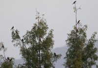 ER7_3955