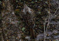 ER7_4768_1200