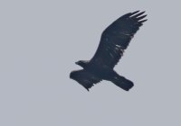 ER7_8378-2-1200