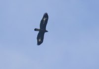 ER7_8449-1200