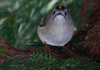 ER7_7746-topaz-2-1200