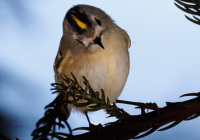 ER7_7756-topaz-21200