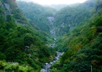P1030436