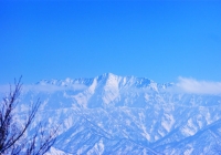 201003_Shimogongen13