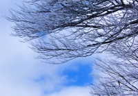 201003_Shimogongen5