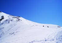 20100425_makihata01