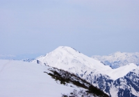 20100502_komagatake008