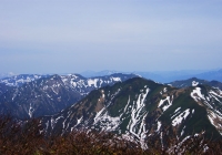 20100522_ebishudaikoku012