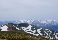 20100522_ebishudaikoku013