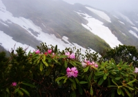 20100530_asakusadake002