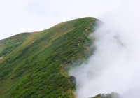 20100620_tanigawadake014