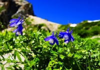 20100718_shiroumadake014