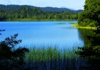 20100822_oze&hiuchigatake004