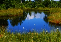 20100822_oze&hiuchigatake022