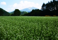 20100822_oze&hiuchigatake023