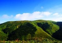 20100911_makihatayama007