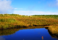 20100911_makihatayama010