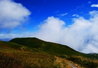 20100911_makihatayama012