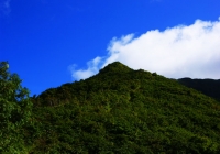 20100926_nakanodake004