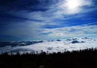 20101003_naebasan003