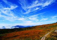 20101003_naebasan008