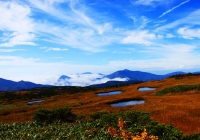20101003_naebasan009