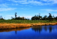 20101003_naebasan010