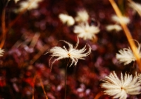 20101003_naebasan011