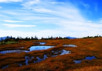 20101003_naebasan012