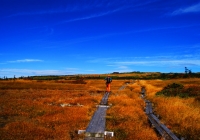 20101003_naebasan015