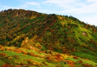 20101003_naebasan017
