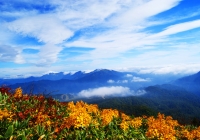 20101003_naebasan018