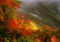 20101011_tanigawadake002