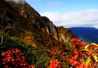 20101011_tanigawadake008