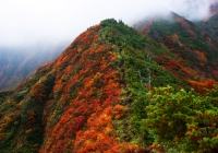 20101017_arasawadake003