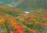20101017_arasawadake013