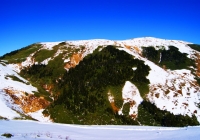 20101114_makihatayama005