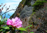 2010606_hakkaisan010