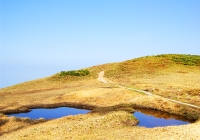 2010612_makihata002