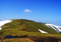 2010612_makihata003