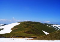 2010612_makihata005