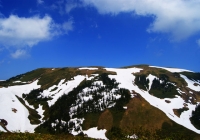 2010612_makihata013