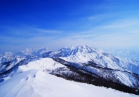20110206_shimogongengo002