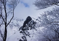 20110403_makihatayama02