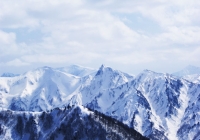 20110403_makihatayama11