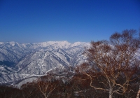 20110410_tairappiyo01