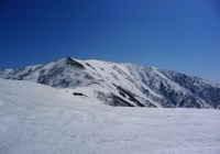 20110410_tairappiyo02